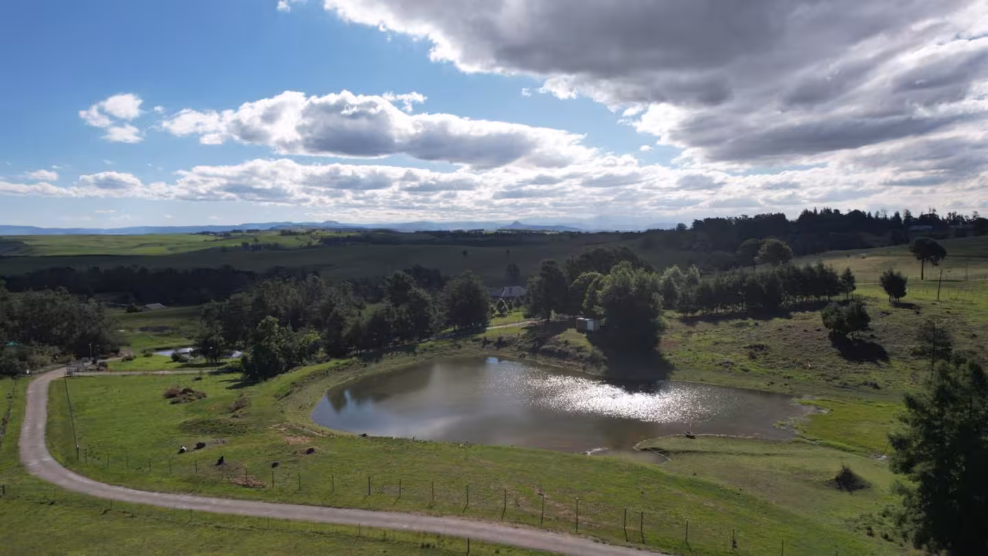 2fc403d8 4cfa 4fd4 94a8 d60712412023